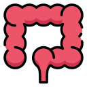 تنظيف للقولون