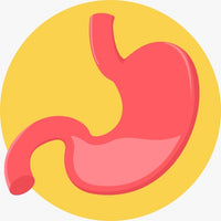 راحة المعدة